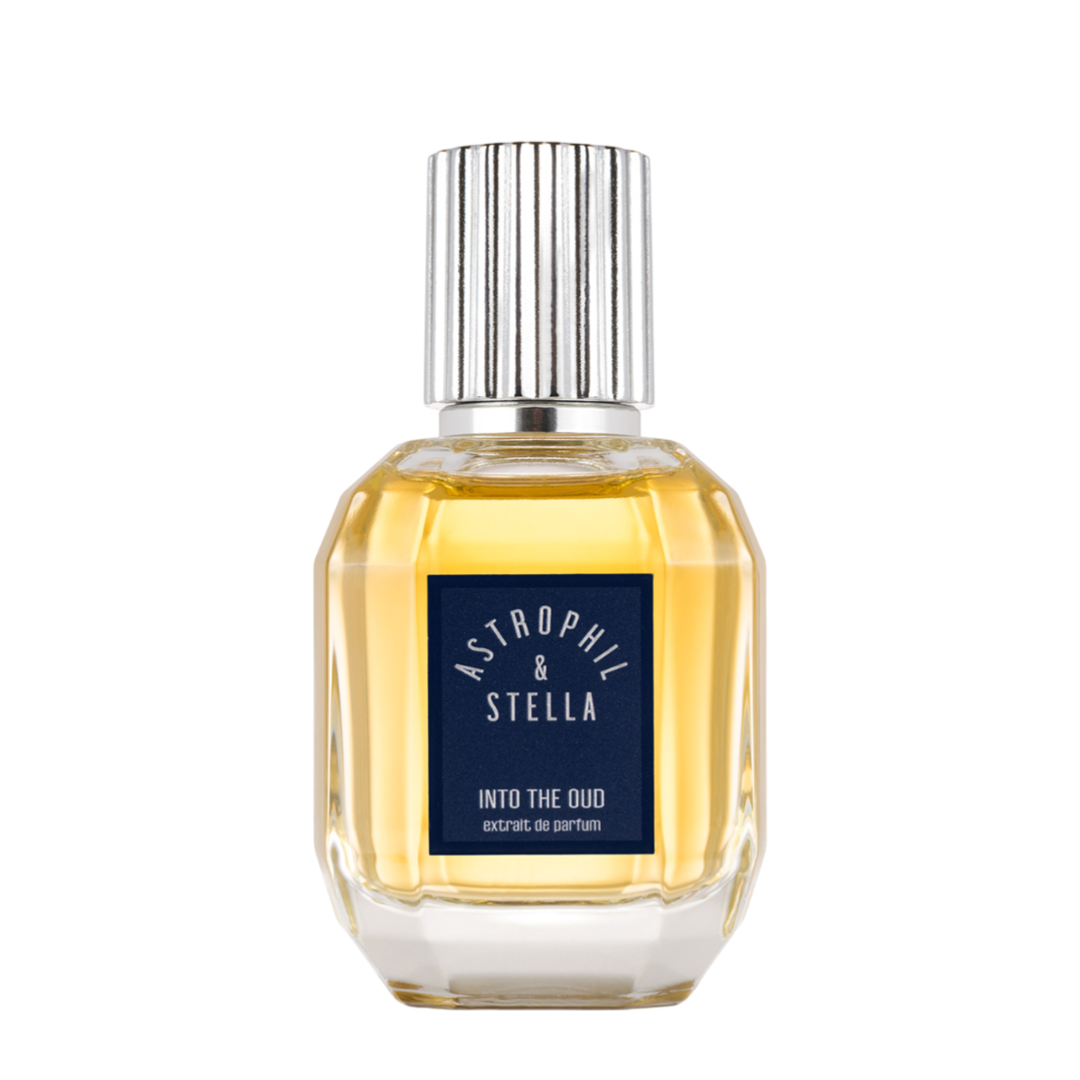 ASTROPHIL & STELLA Into the Oud